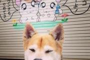 开云体育平台APP-红牛狂飙斗牛士，匈牙利碾压西班牙，罗德里戈独木难支成悲情英雄