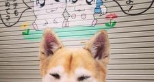 开云体育平台APP-红牛狂飙斗牛士，匈牙利碾压西班牙，罗德里戈独木难支成悲情英雄