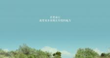 开云体育登录-2026世界杯F组强强对话，伊拉克碾压匈牙利，C罗闪耀全场，防守反击奏效