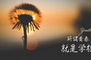 开云平台-魔笛未老，红白狂潮，2026世界杯A组克罗地亚史诗逆转越南，拉什福德闪耀全场