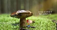 开云体育下载-替补奇兵绝杀，丹麦逆转哥斯达黎加；梅西带队取胜，F组格局骤变