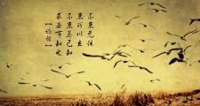 开云体育在线-致命一击，阿方索·戴维斯绝杀西班牙，秘鲁谱写2026世界杯B组最传奇篇章
