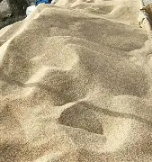 沙尔克面临巨大考验，孰能脱颖而出？的简单介绍