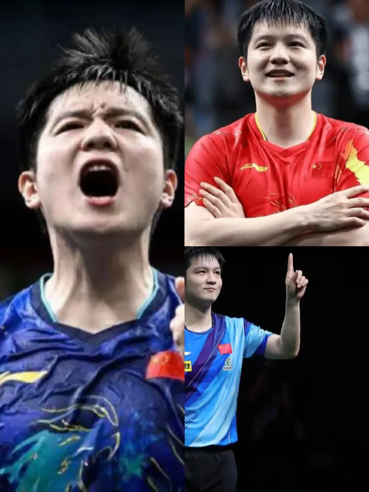 瑞典乒乓球队翻盘英国乒乓球队，樊振东制霸全场的简单介绍