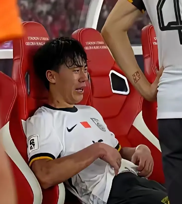 中国队险胜德国队,桃田贤斗点燃赛场 中国队险胜德国队,桃田贤斗点燃赛场