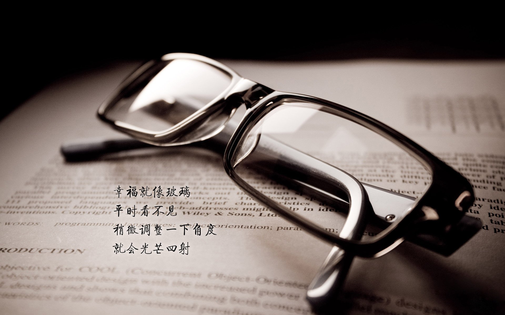 引擎与罗盘,恩佐如何成为葡萄牙巡航导弹的神经中枢