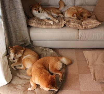 当欧冠决赛哨响，快船用全攻全守击穿了活塞的混凝土防线