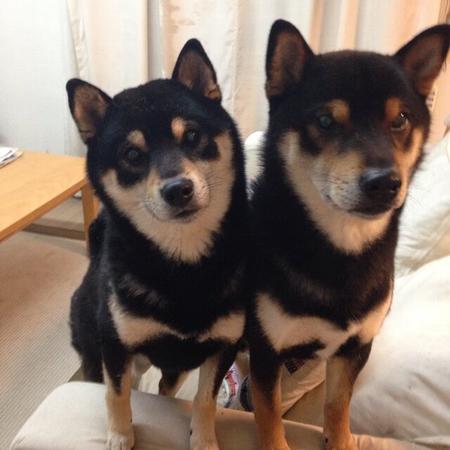 当欧冠决赛哨响，快船用全攻全守击穿了活塞的混凝土防线