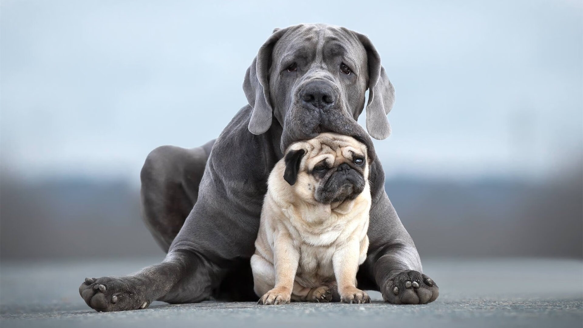 龙舌兰日出下的德意志指针，京多安关键一射，墨西哥绝境突围斩落突尼斯