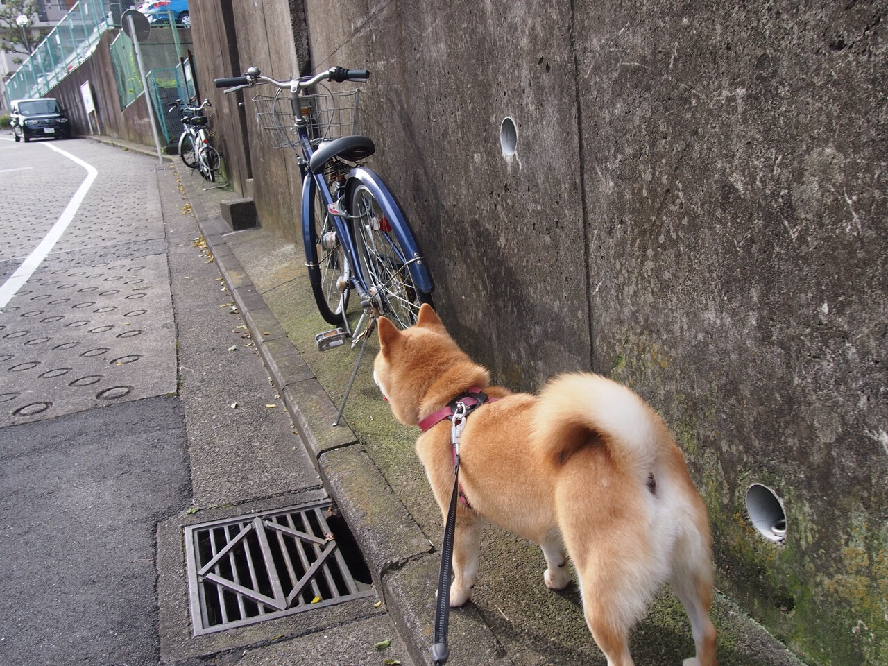 乌拉圭奇迹，终结拜仁，奥利维耶关键连续得分闪耀全场