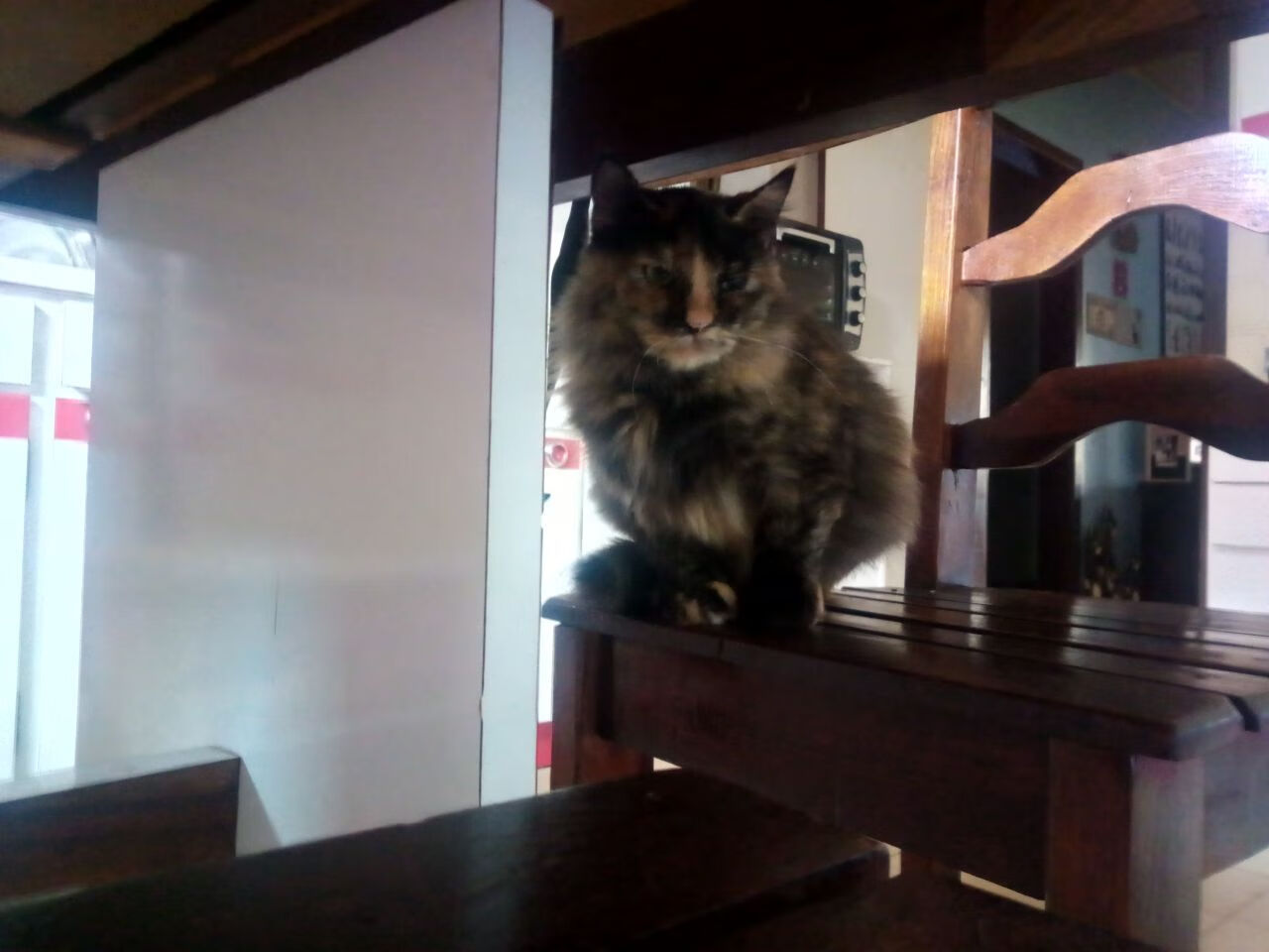 死神降临丹佛高原,伦纳德末节19分接管比赛,快船逆转掘金抢得先机