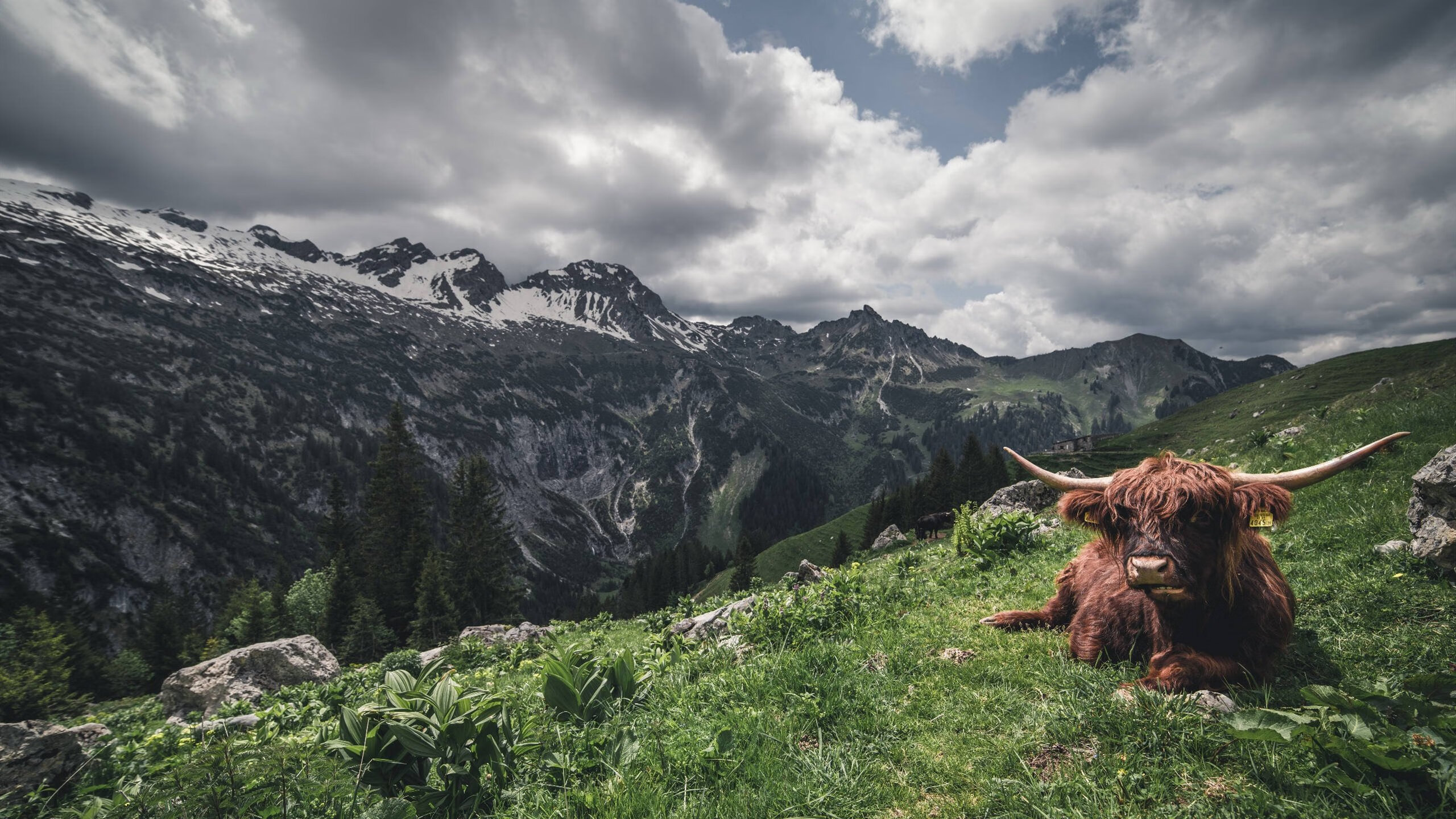 雷霆万钧压魔术，君临东决詹姆斯