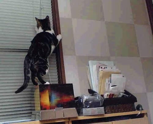 夜海孤灯，乔治如何用一颗子弹引爆沉默的船