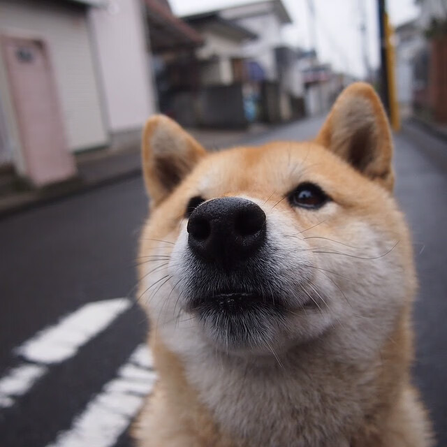 打破次元壁!范弗利特三分里程碑之夜,浙江男篮用中式智慧绝杀NBA热火