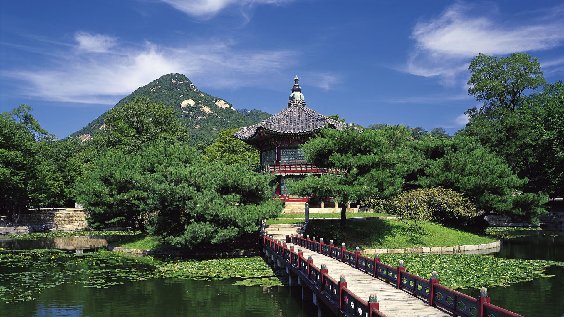 罗德里之夜，世界排名争夺战的关键先生如何彻底打爆防线