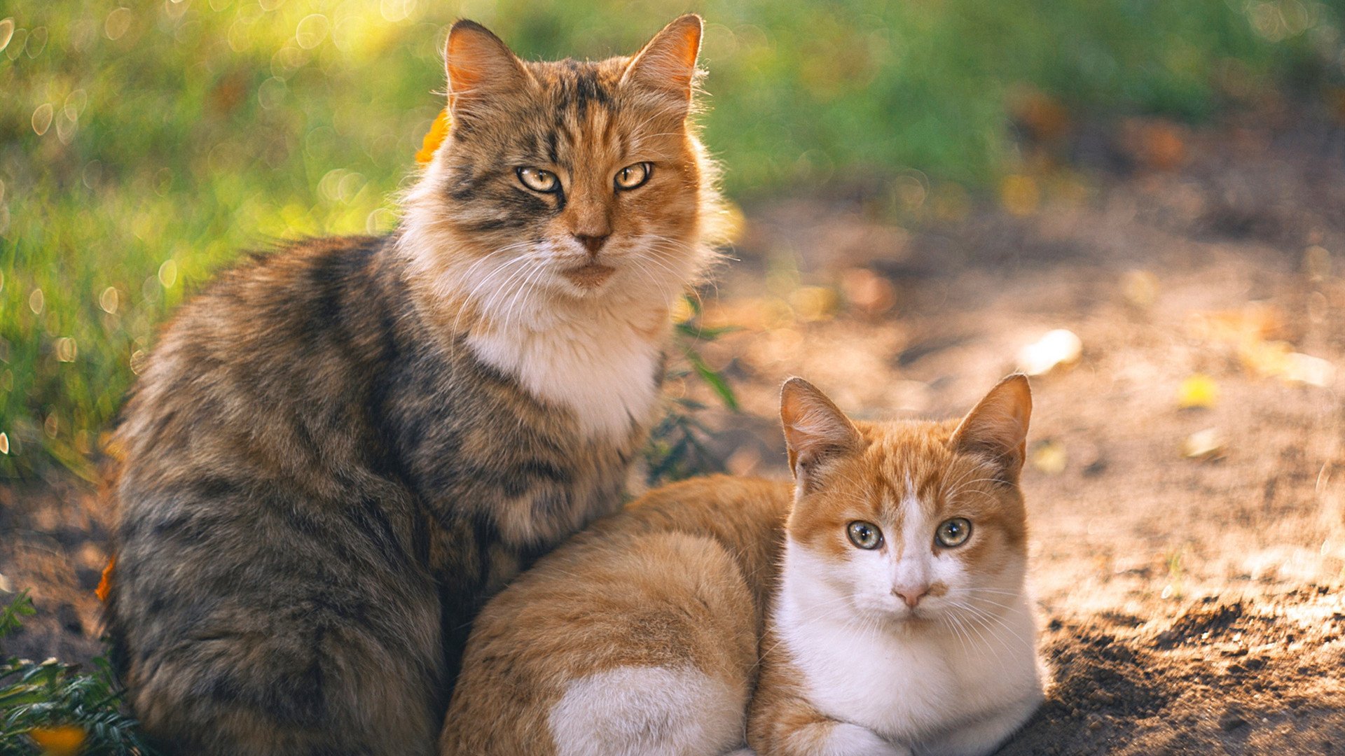 神话破灭与重构，当罗马的铁蹄踏破几内亚，卡塞米罗如何成为帝国的定海神针