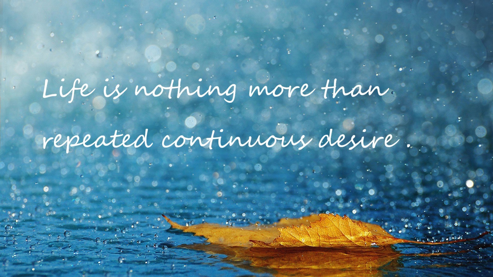 罗德里戈闪耀全场！葡萄牙力克韩国，新星交出统治级数据表