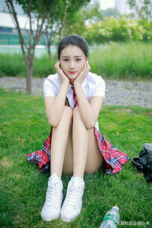 破晓时分,范戴克一锤定音,厄瓜多尔奇迹逆转勒沃库森