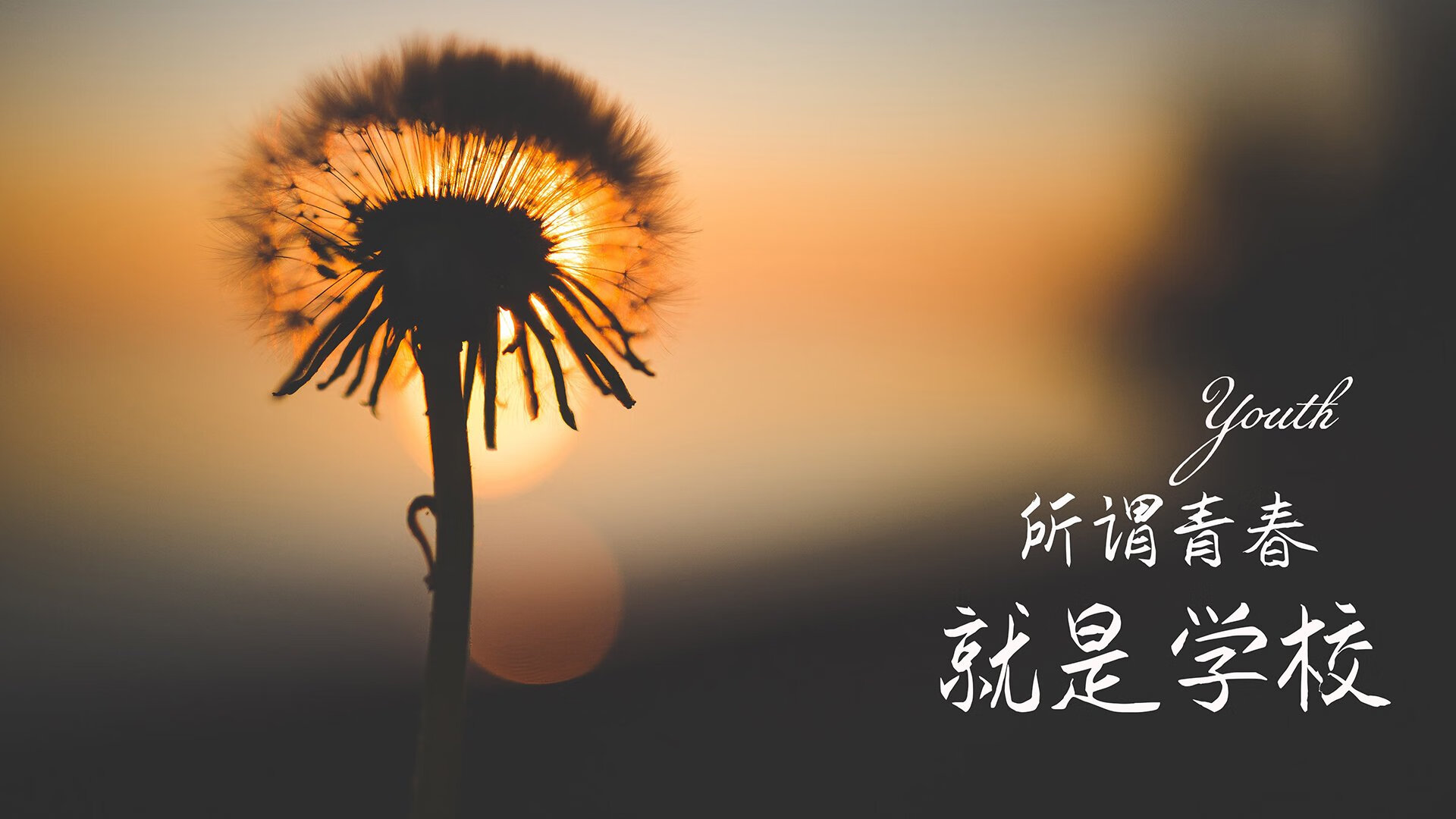 魔笛未老，红白狂潮，2026世界杯A组克罗地亚史诗逆转越南，拉什福德闪耀全场