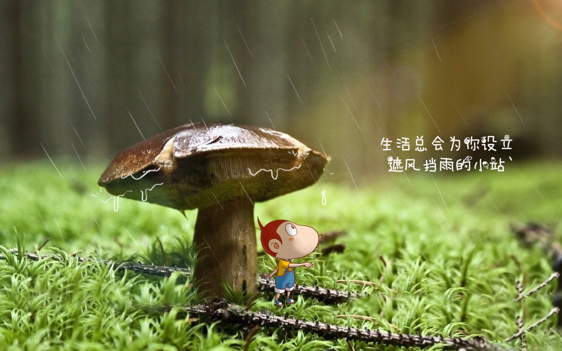替补奇兵绝杀,丹麦逆转哥斯达黎加;梅西带队取胜,F组格局骤变