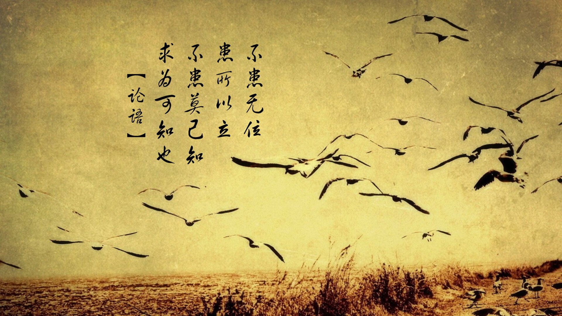 致命一击，阿方索·戴维斯绝杀西班牙，秘鲁谱写2026世界杯B组最传奇篇章