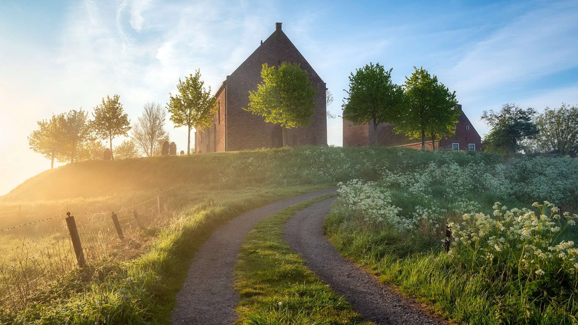 南柯一梦成真,澳大利亚2-1力克日本,范戴克铁血统治引爆2026世界杯四分之一焦点战