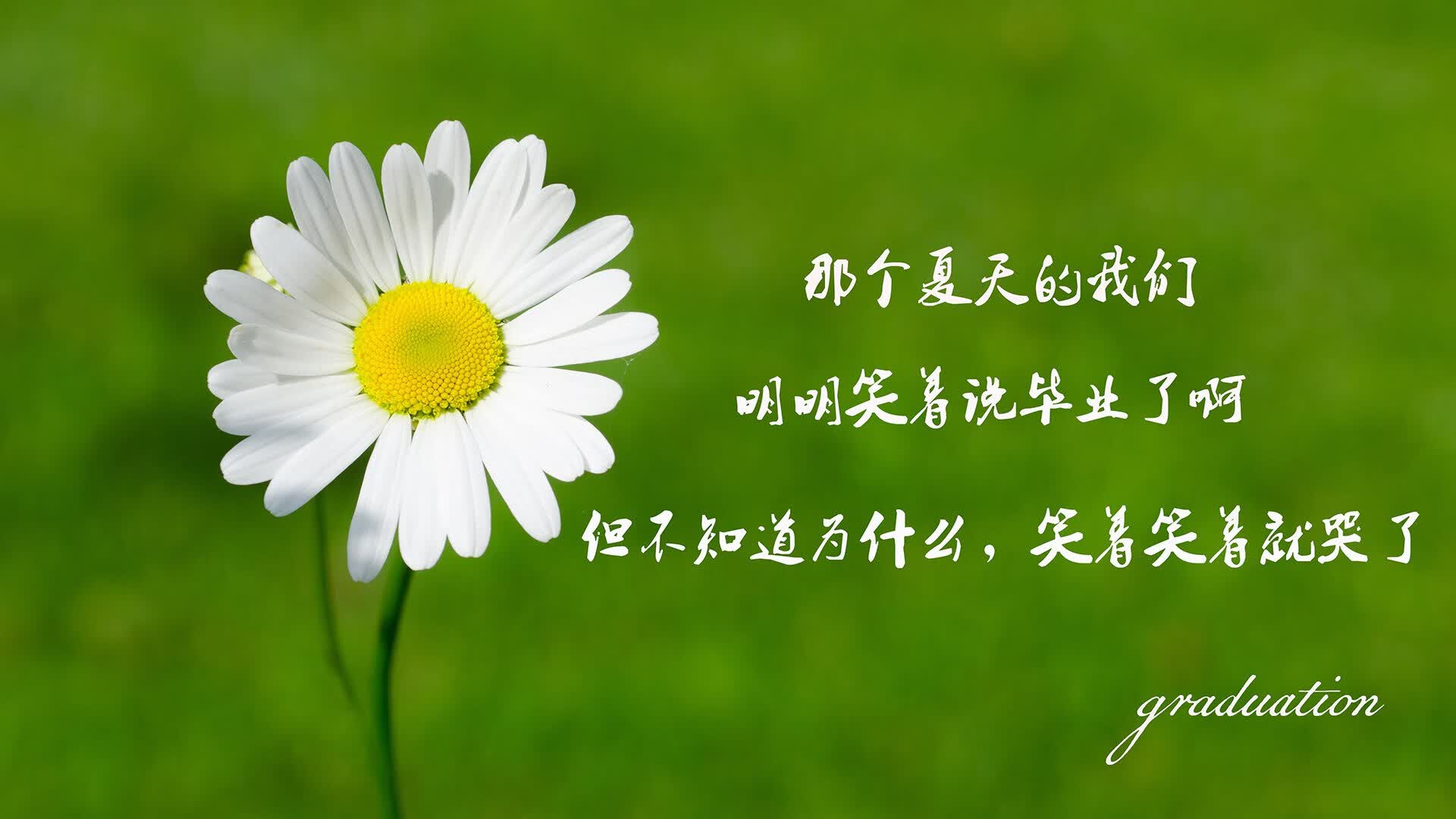 绝境中的诸神之战,伊朗补时绝杀芬兰,莫德里奇率克罗地亚险胜,2026世界杯C组上演冰与火之歌